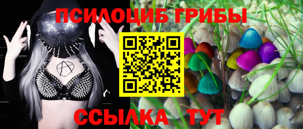 Псилоцибиновые грибы мухоморы Кимовск