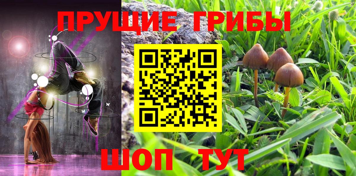 Псилоцибиновые грибы Cubensis  Псилоцибиновые грибы прущие грибы  Вход с VPN  купить наркотик  Кимовск 