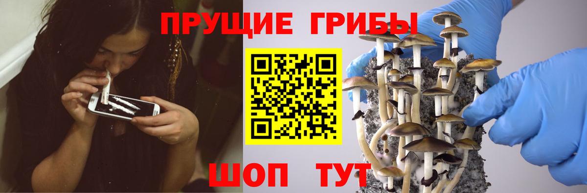 Галлюциногенные грибы ЛСД Кимовск